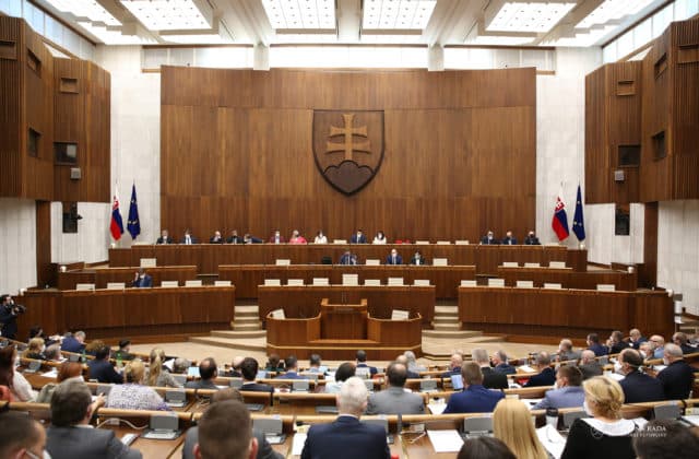 Parlament nevzal na vedomie správu o činnosti komisárky pre deti