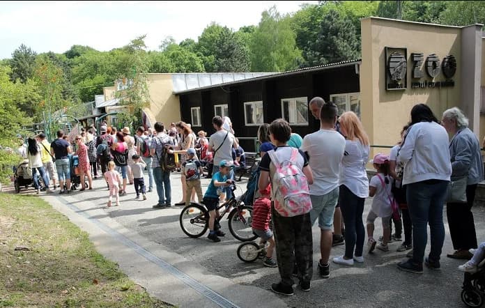Košická zoo ako prvá na Slovensku odchovala mláďatá výra západosibírskeho