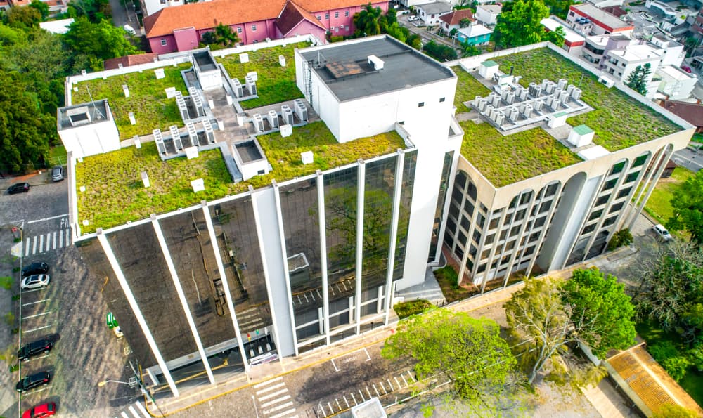 Vymeňte nevzhľadné plechy za krásne a zelené vegetačné strechy