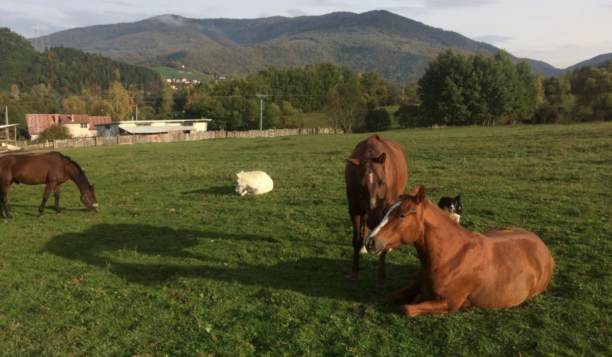 Ranče v okolí Košíc, ktoré si vaše deti zamilujú