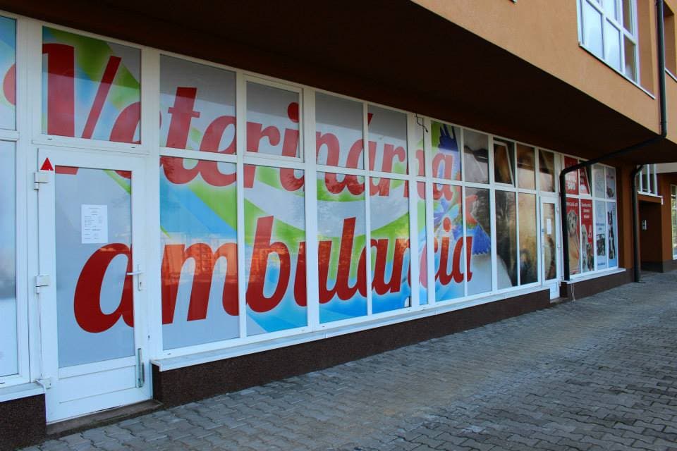 Fotografia k súvisiacemu článku Tieto veterinárne kliniky ošetria vášho miláčika aj počas víkendov