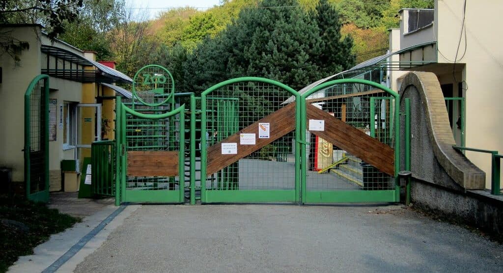 Brány letnej sezóny košickej ZOO odomkne orliak Nixon