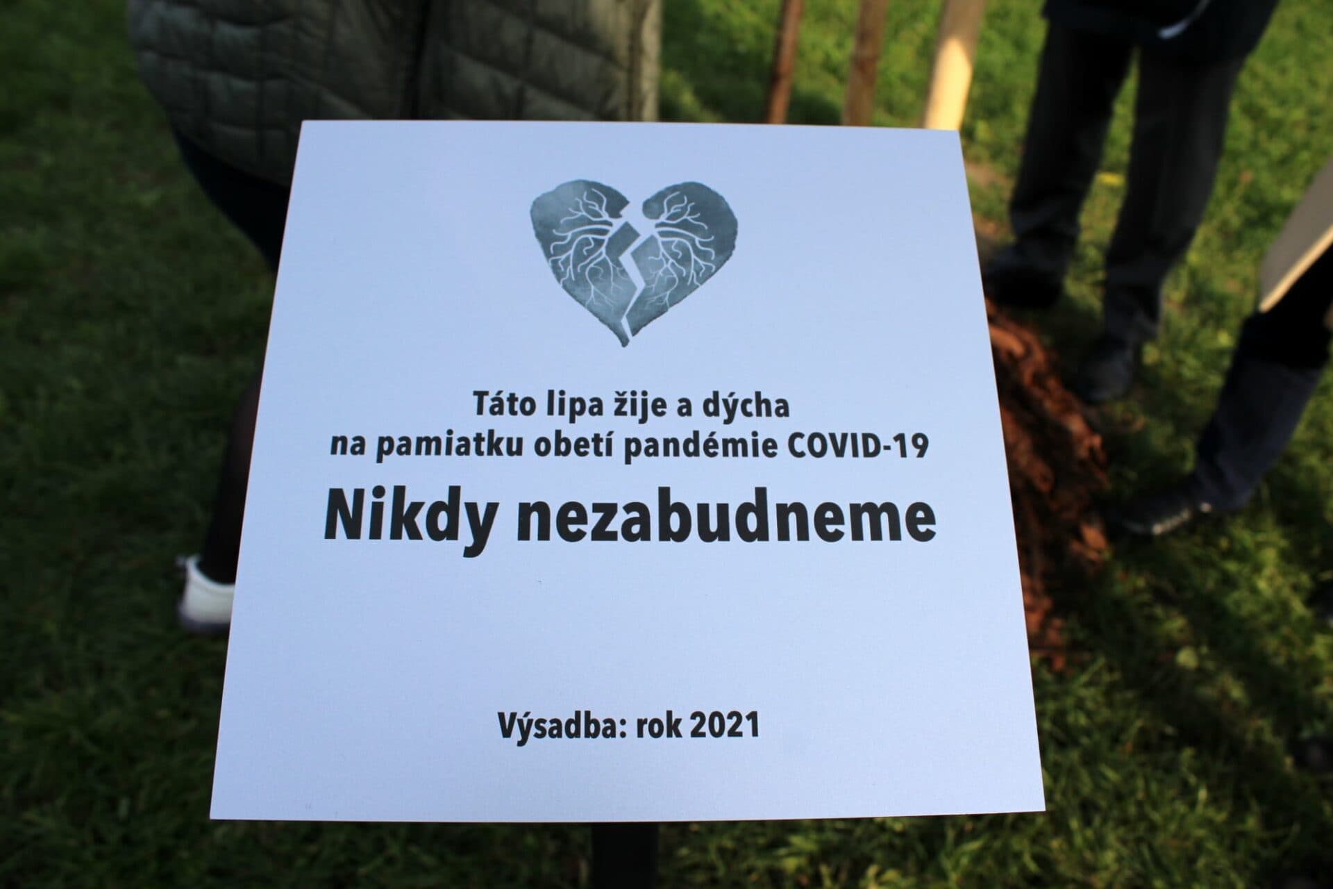 Z úcty k obetiam pandémie sa vysadilo v meste sedem líp