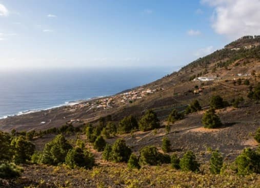 Oblak plynov zo sopky Cumbre Vieja na ostrove La Palma by nemal ovplyvniť kvalitu ovzdušia na Slovensku