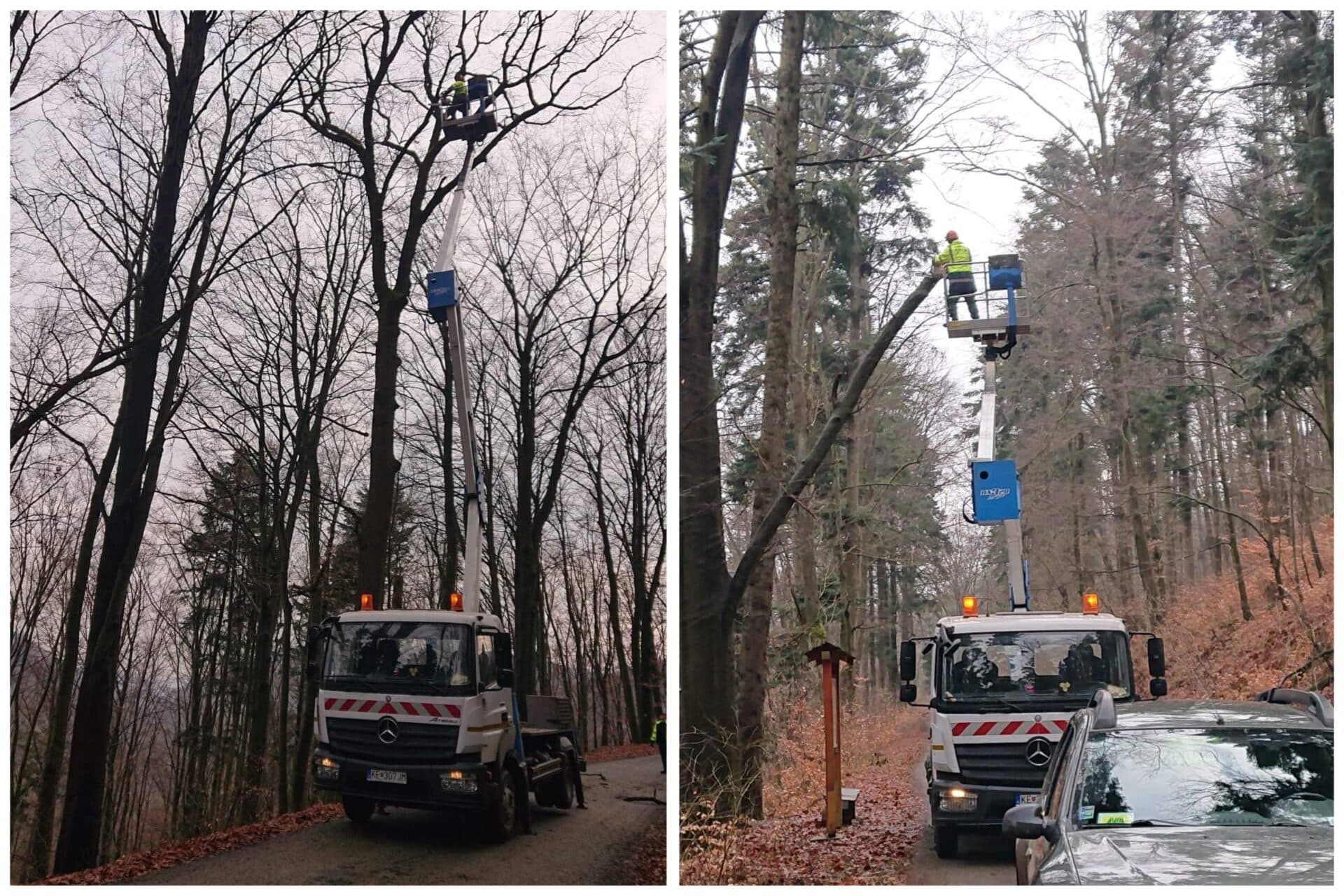 Na Starej spišskej (bankovskej) ceste sa odstraňujú poškodené stromy, zvýšte v tomto úseku opatrnosť