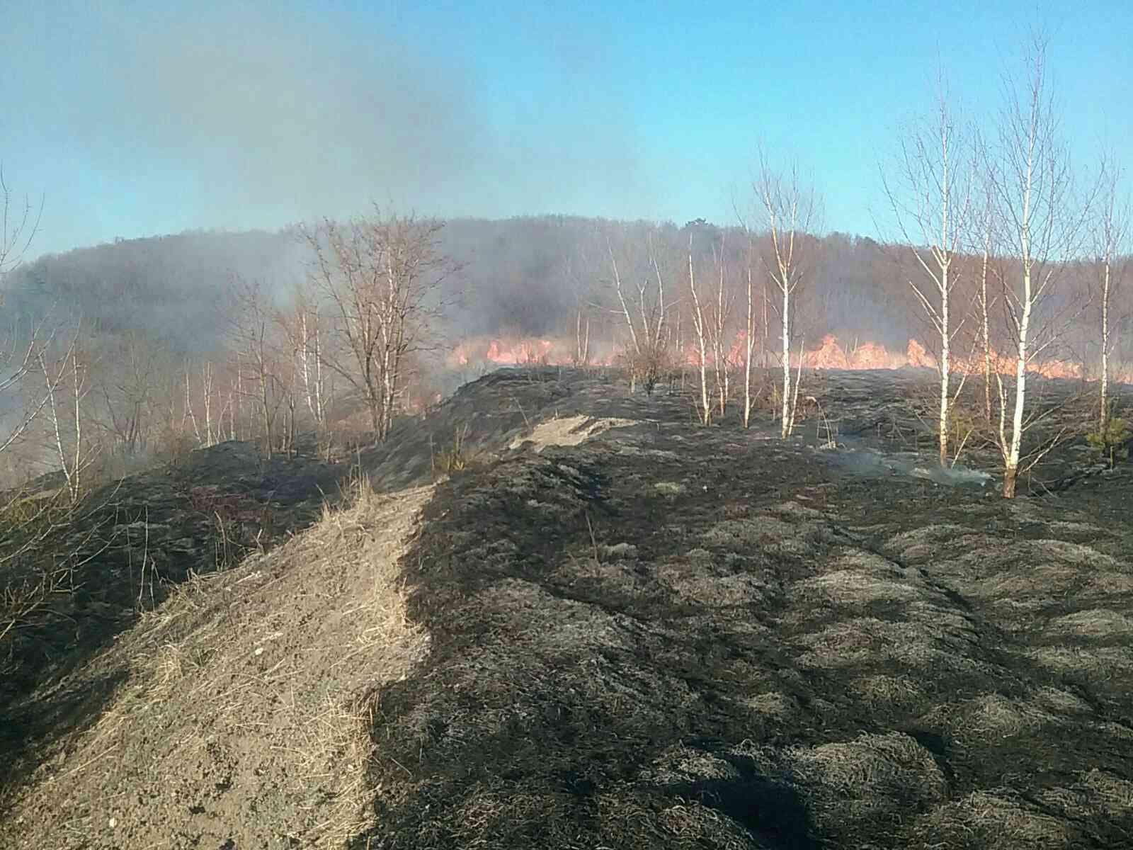POZOR na požiare! Hasiči varujú pred nebezpečným suchom