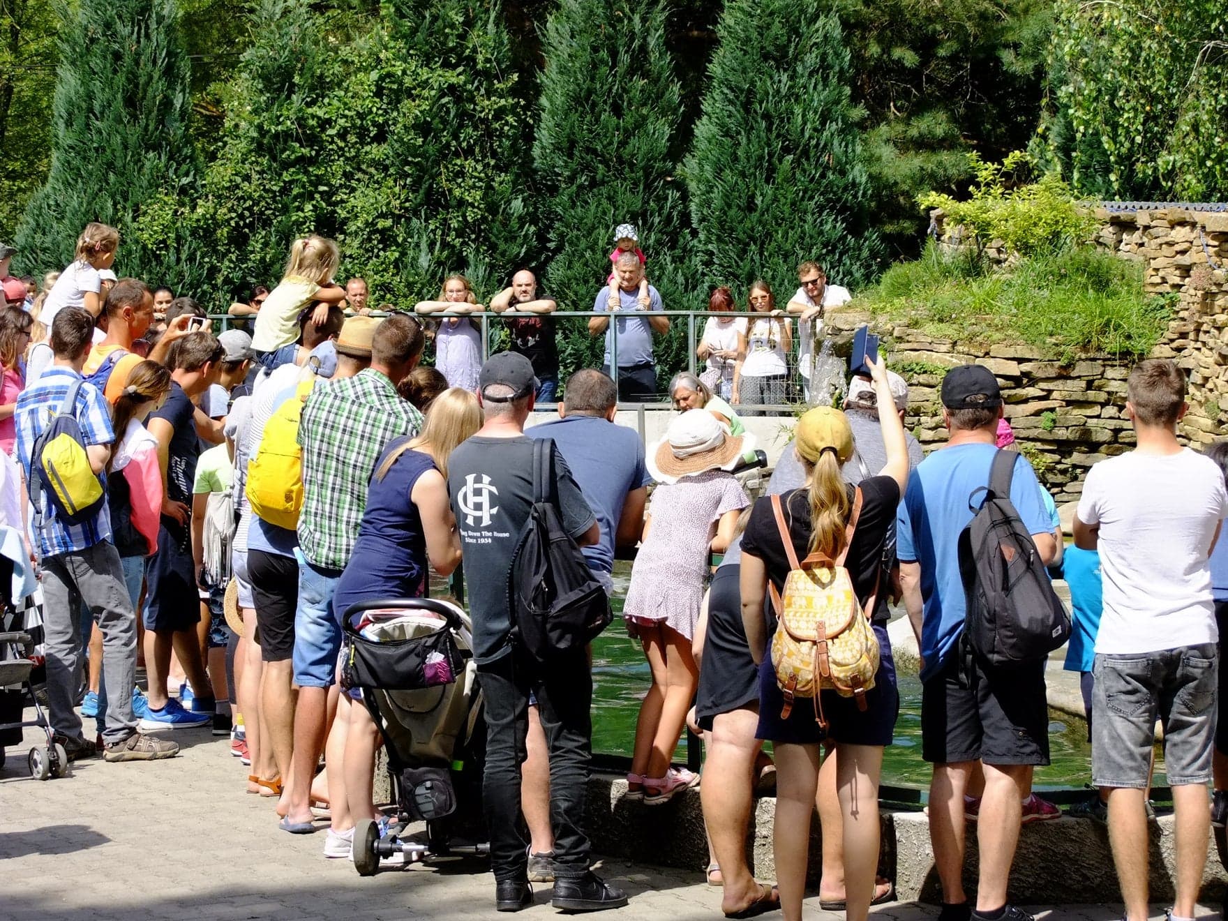 Zľavnený vstup do ZOO sa pre Ukrajincov skončil! Platiť budú plnú sumu