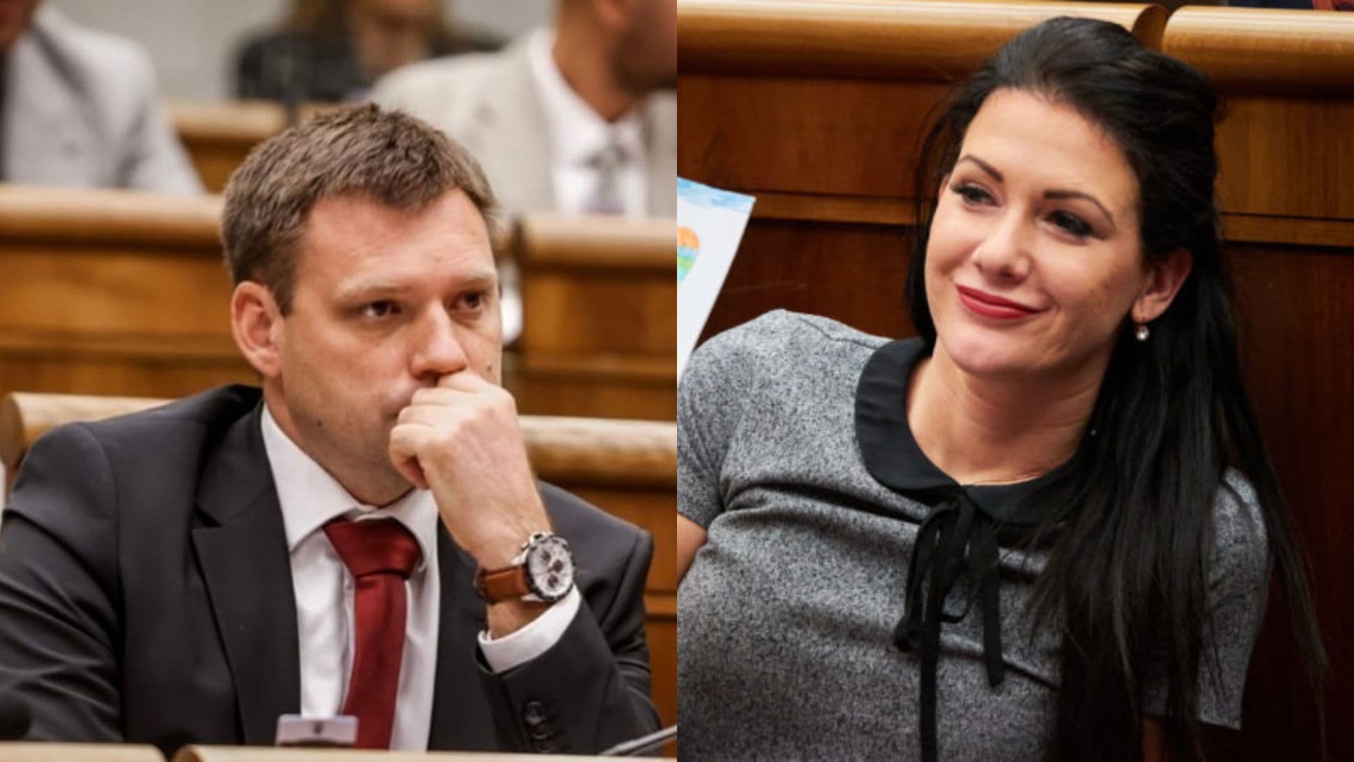 Taraba vyzval Cigánikovú, aby odstúpila z funkcie predsedníčky zdravotníckeho výboru