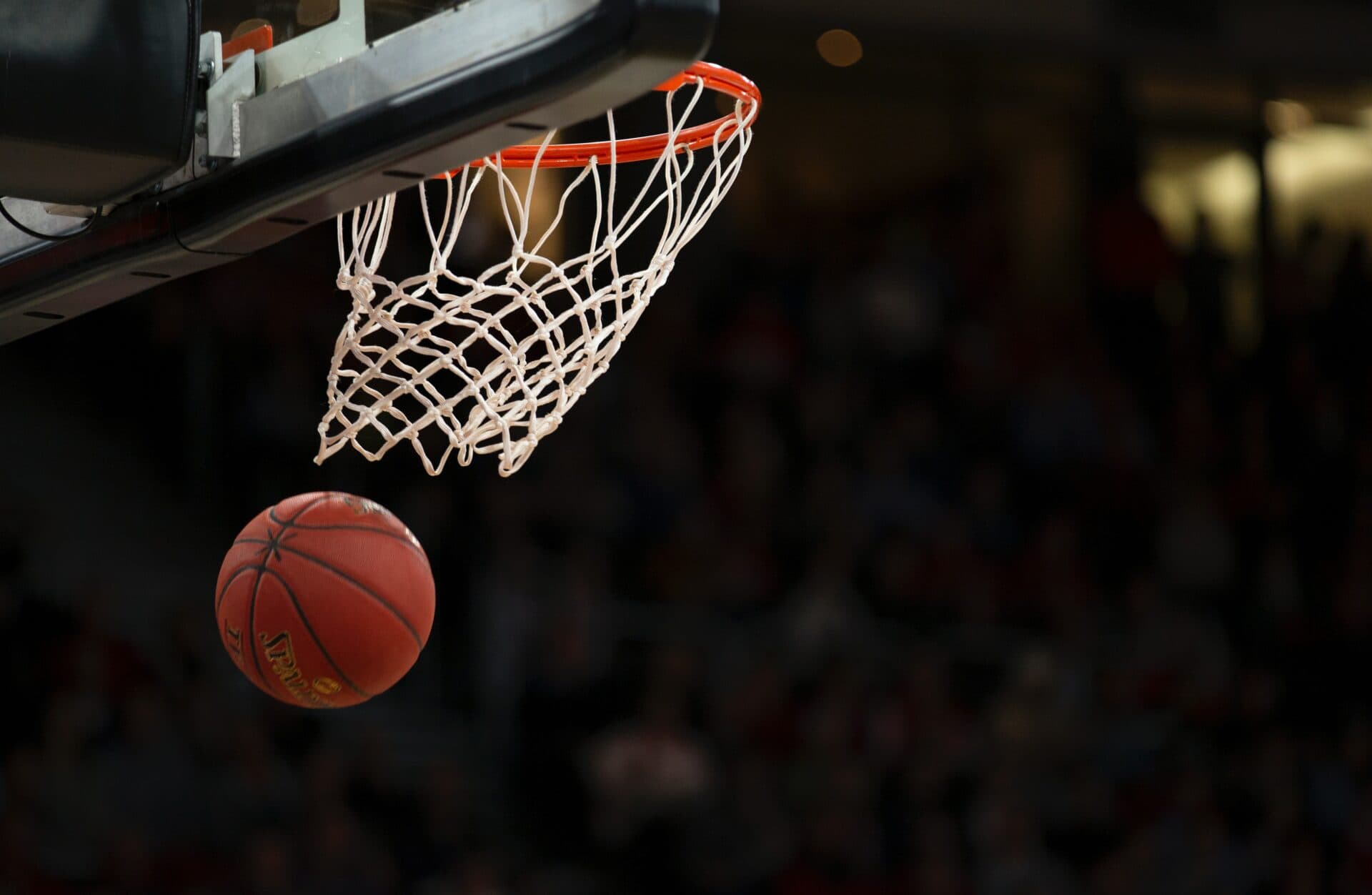 Basketbalová ženská liga začína. V extralige sa stretnú dve košické družstvá