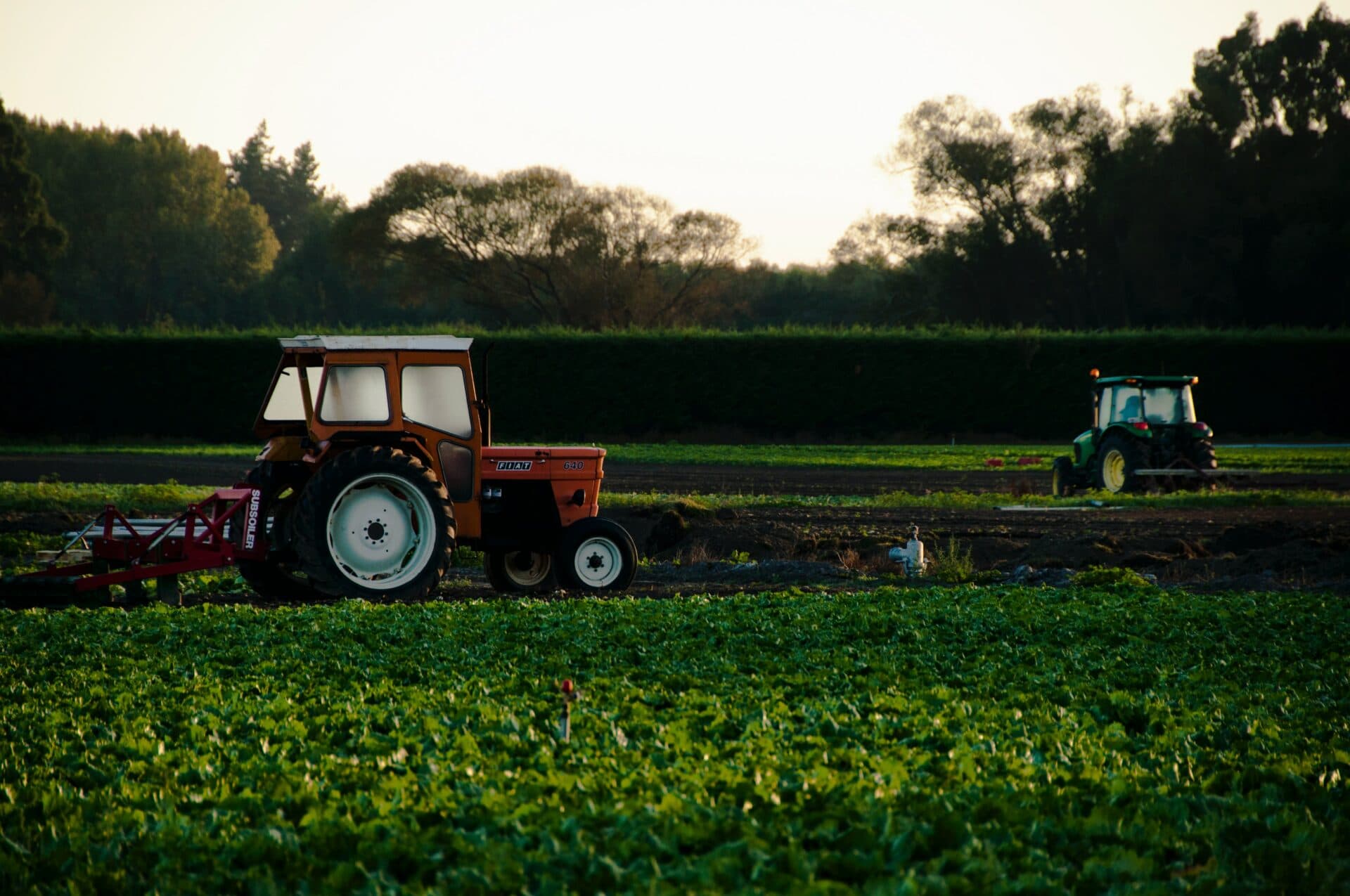 Mimoriadny štátny rozpočet agropotravinárstvu nepomôže, upozornila SPPK