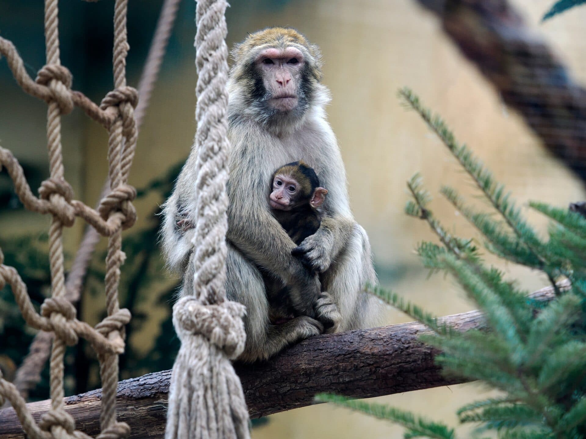 Akcia Za jednotku do ZOO sa presunula