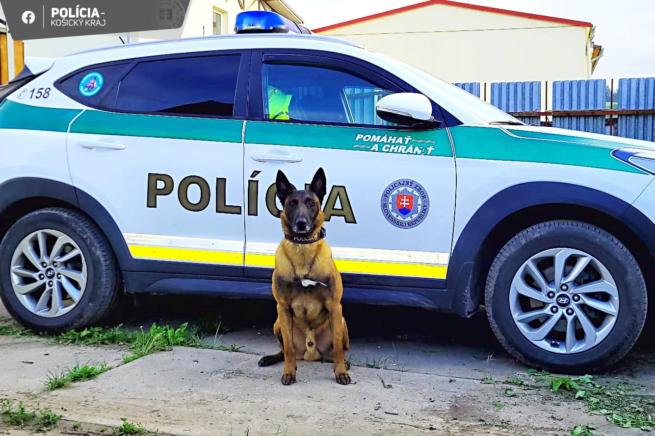 Policajný pes vypátral dve osoby podozrivé z vlámania sa do domu