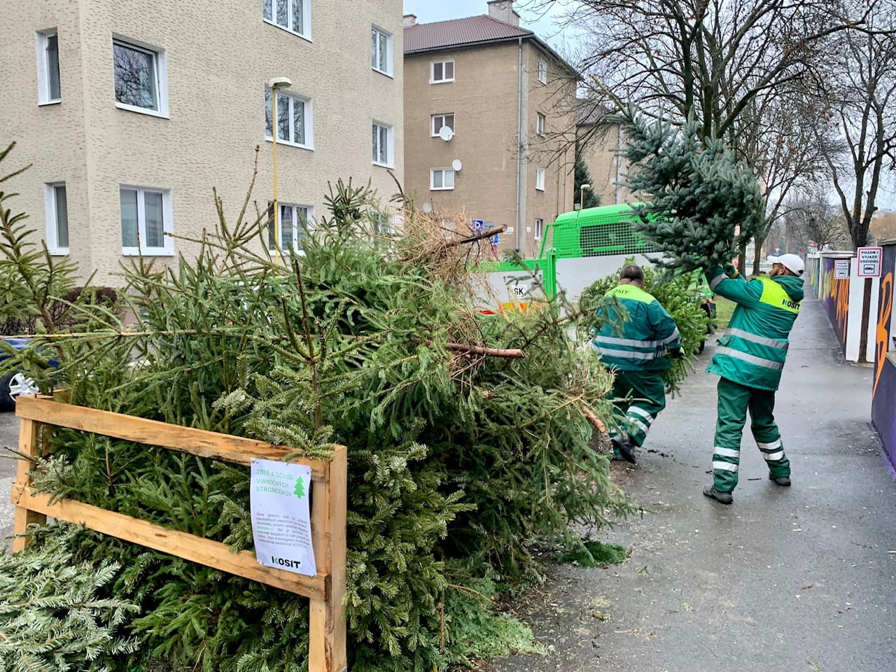 V Košiciach sa začal zber vianočných stromčekov