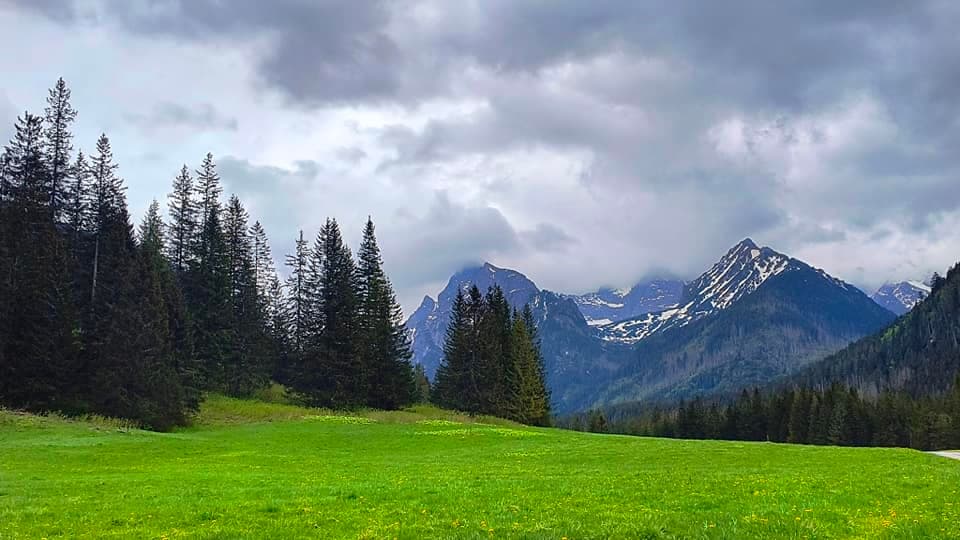 Fotografia k súvisiacemu článku Bude Turistika v Tatrách pre psíčkarov dostupnejšia?