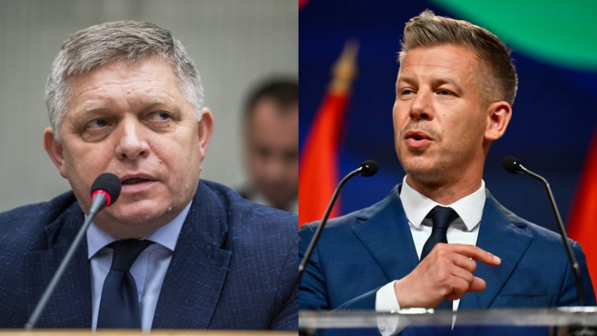 Fotografia k súvisiacemu článku Fico a Magyar diskutovali o energetike, témou rozhovoru boli aj Benešove dekréty