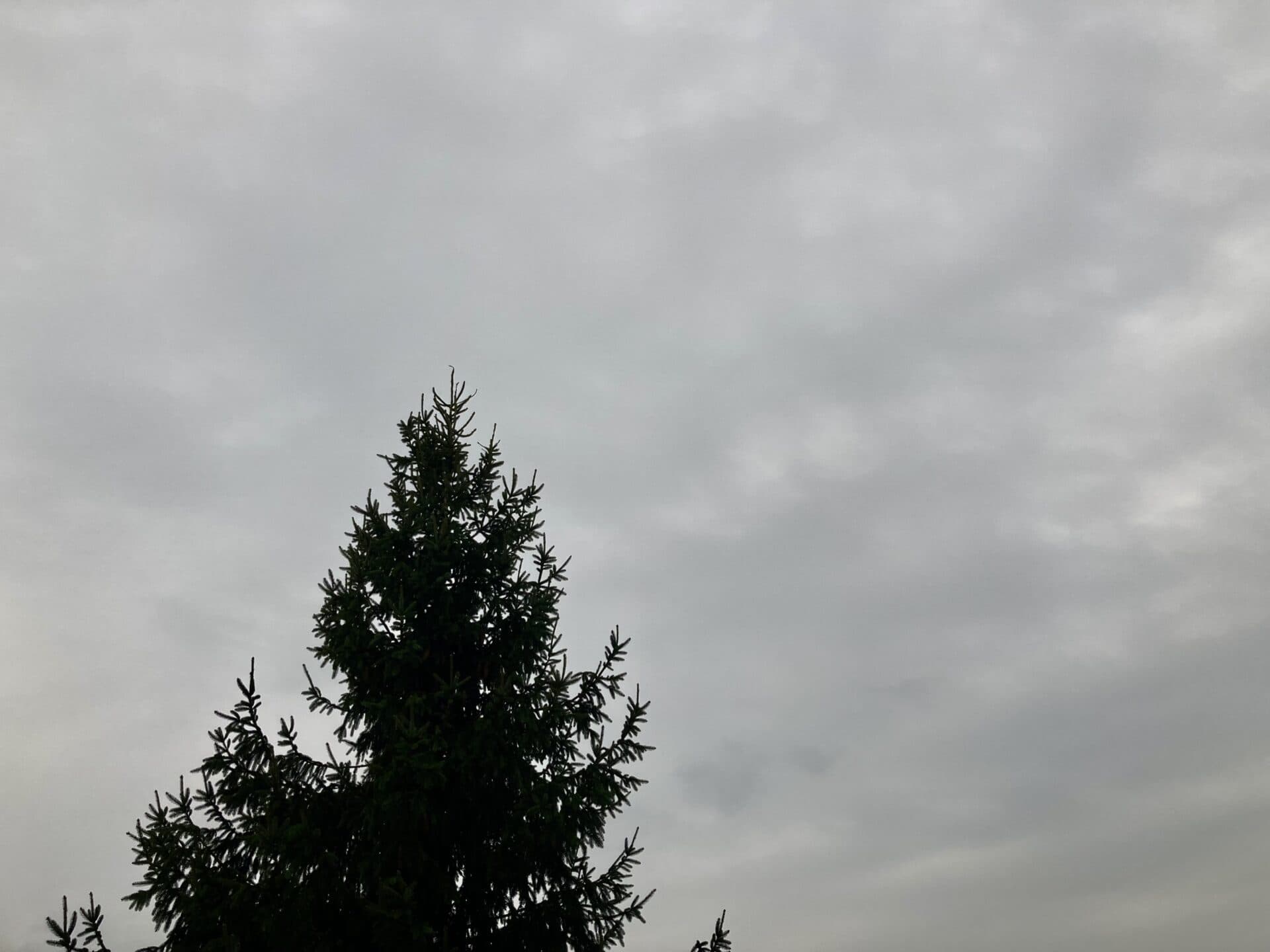 Dnes bude oblačno až zamračené, s prehánkami a dažďom