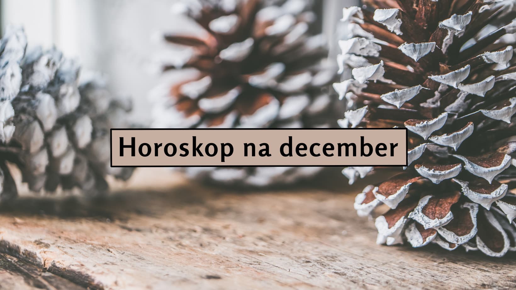 Pre TIETO 4 znamenia zverokruhu bude december čarovným mesiacom