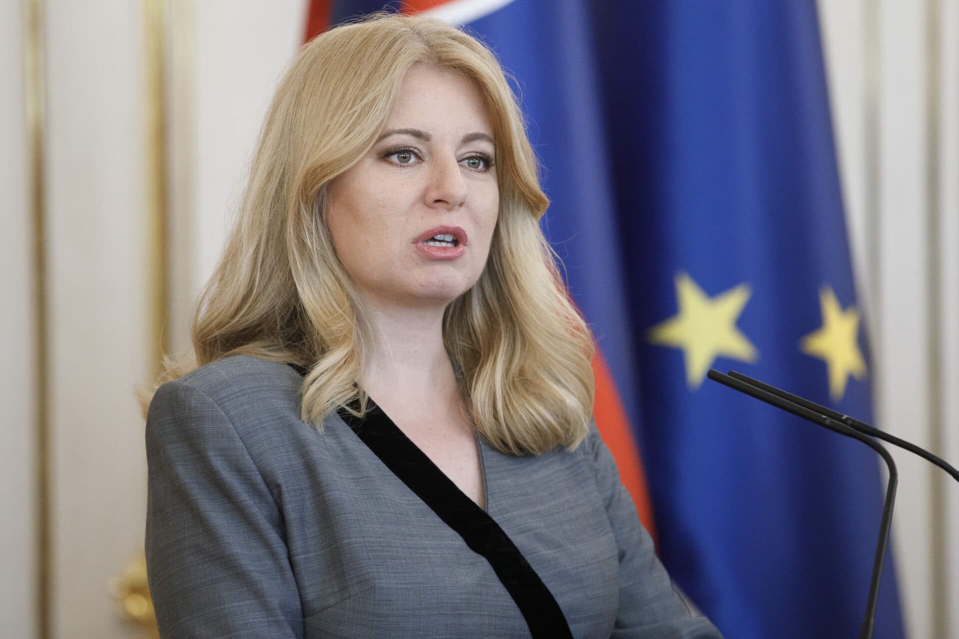 Prezidentka sa pre zákon o environmentálnych záťažiach obrátila na Ústavný súd SR