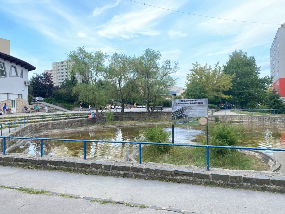 Vo fontáne na KVP sa zabýval chránený živočích