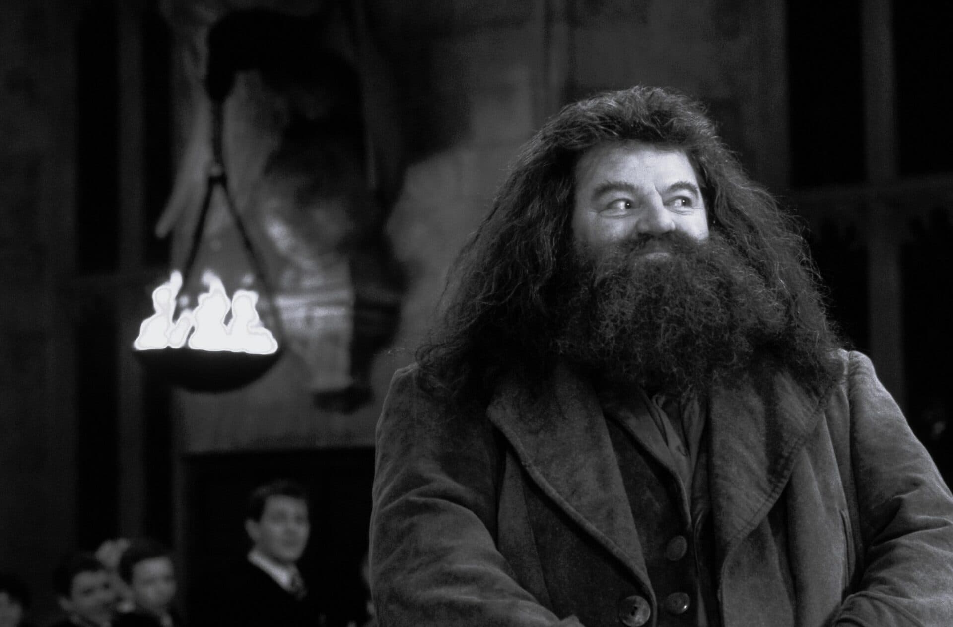 Smutná správa pre fanúšikov Harryho Pottera. Zomrel herec, ktorý stvárnil Hagrida