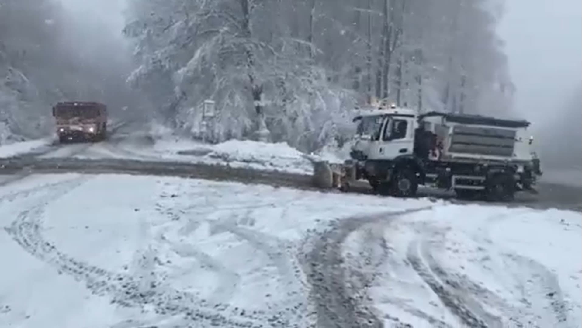 MIMORIADNE: Motoristi, Jahodnej sa radšej vyhnite