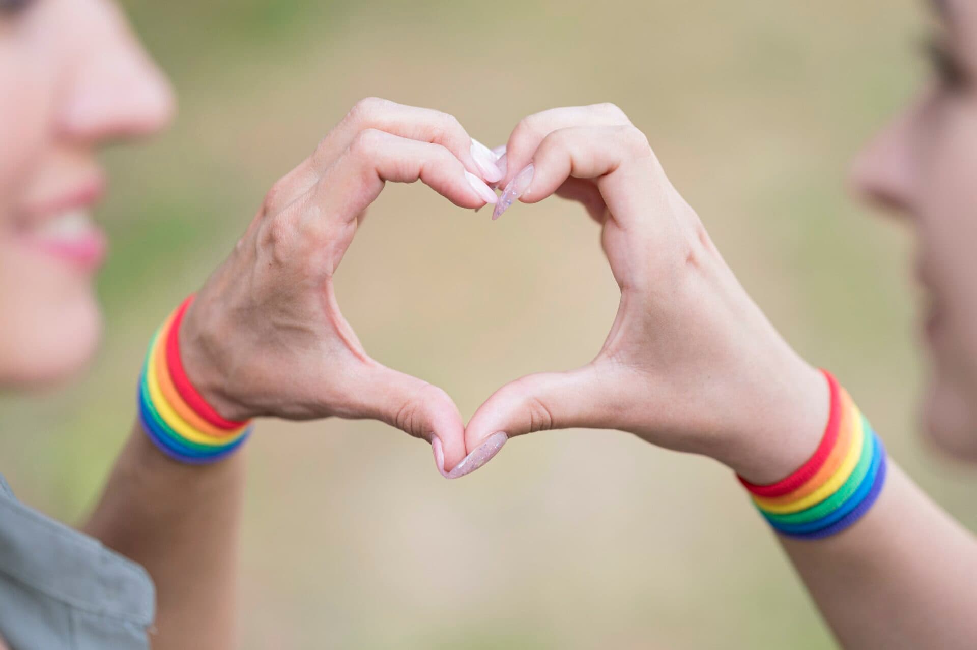 SaS sa neprestane usilovať o posilnenie práv LGBTI ľudí, po neúspechu majú plán B