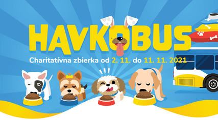 Košičania budú môcť vďaka charitatívnej zbierke pomôcť útulkáčom