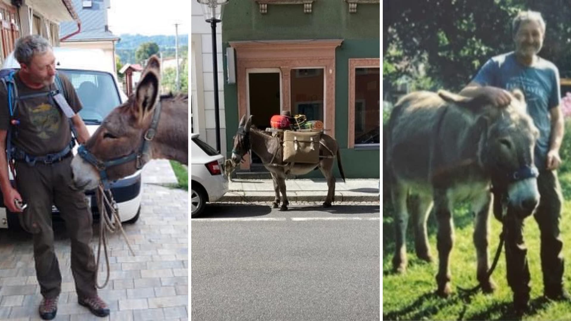 Cesta Slovenskom až do Číny. Jeho verným priateľom na cestách je somárik Vaillant