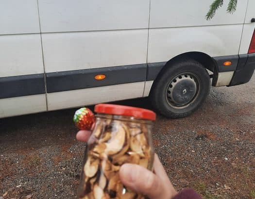 Sociálnymi sieťami sa šíri #nakŕmkuriéra. O čo v tomto projekte ide?