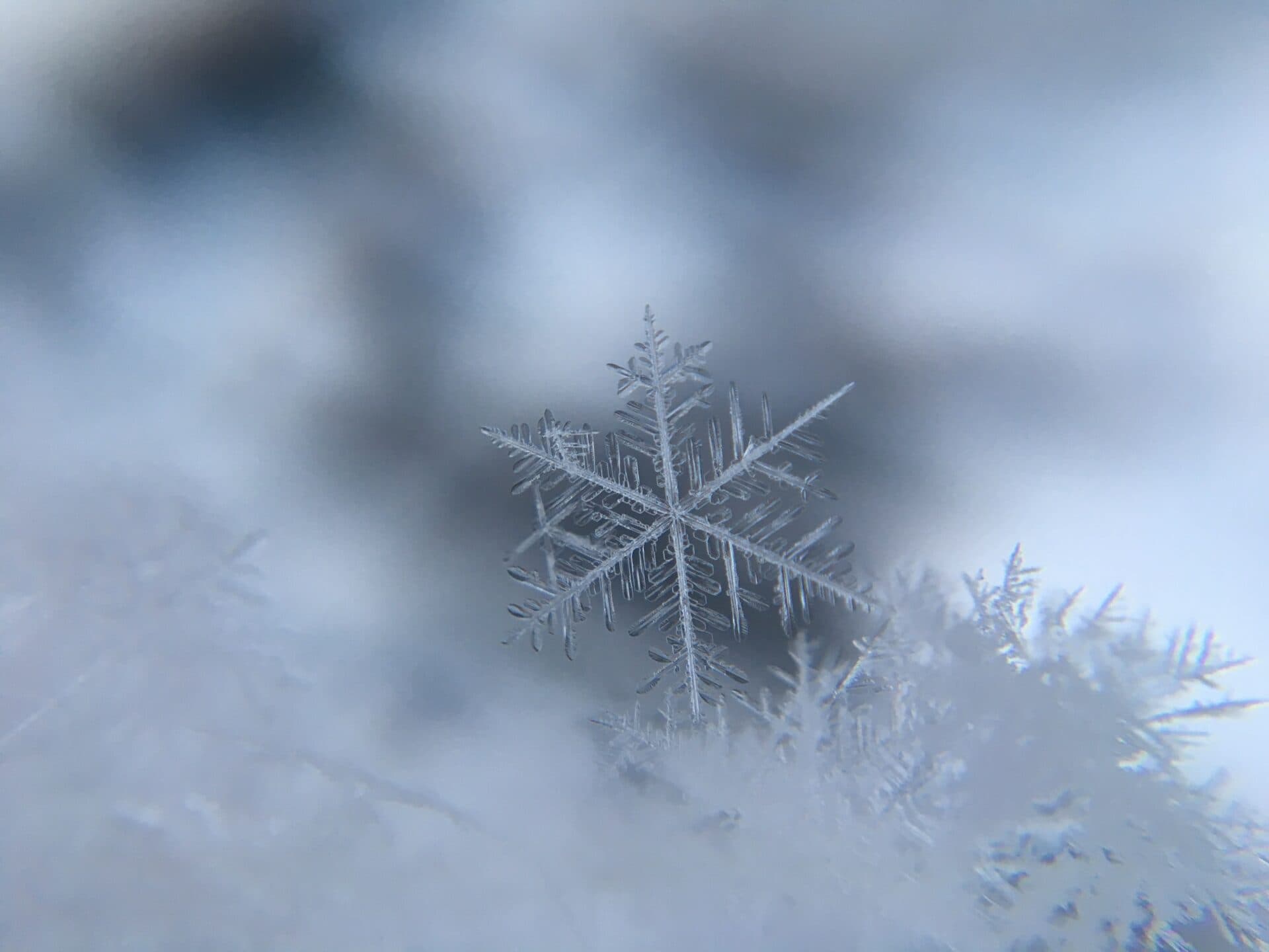 Čaká nás mrazivá noc. Teploty môžu klesnúť pod -20 stupňov