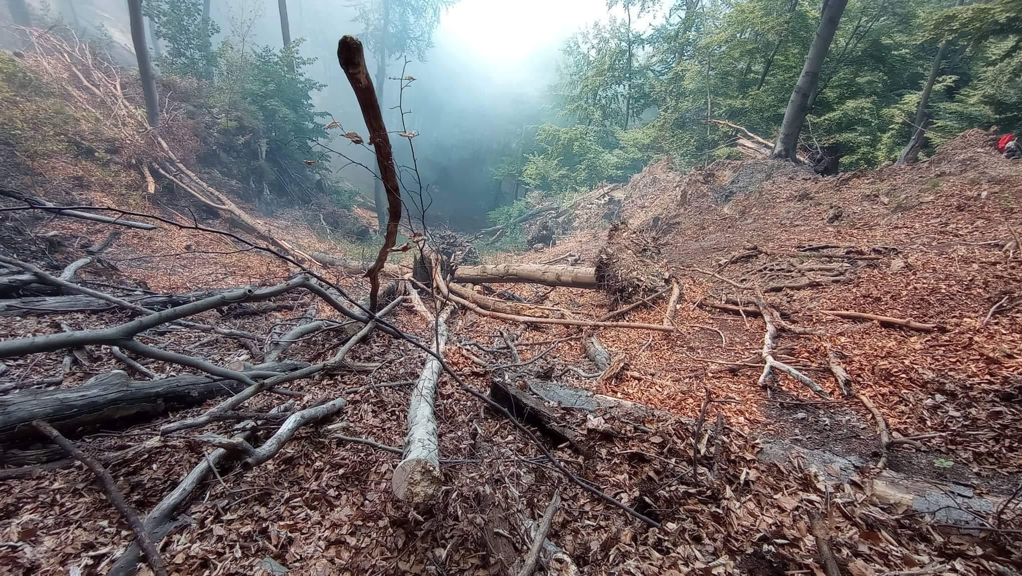 Hasičom sa podarilo obkolesiť požiar v Malej Lodine a zamedziť jeho ďalšiemu rozšíreniu (FOTO)