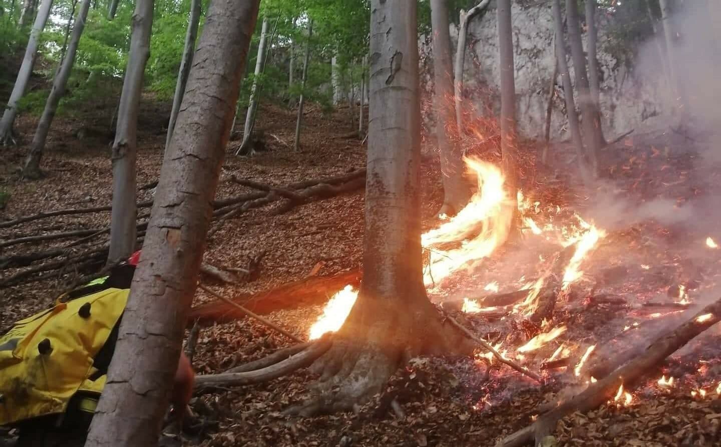 Hasičom sa podarilo lokalizovať lesný požiar v Malej Lodine