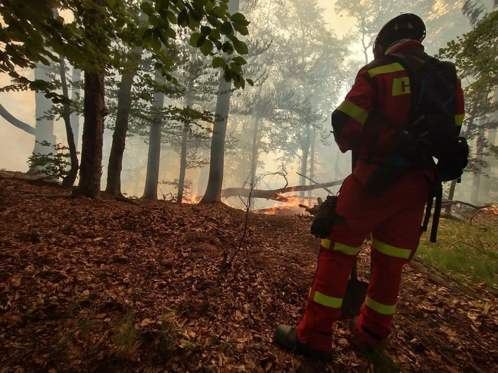 Pri vypaľovaní trávy a porastov vám hrozí nemalá pokuta