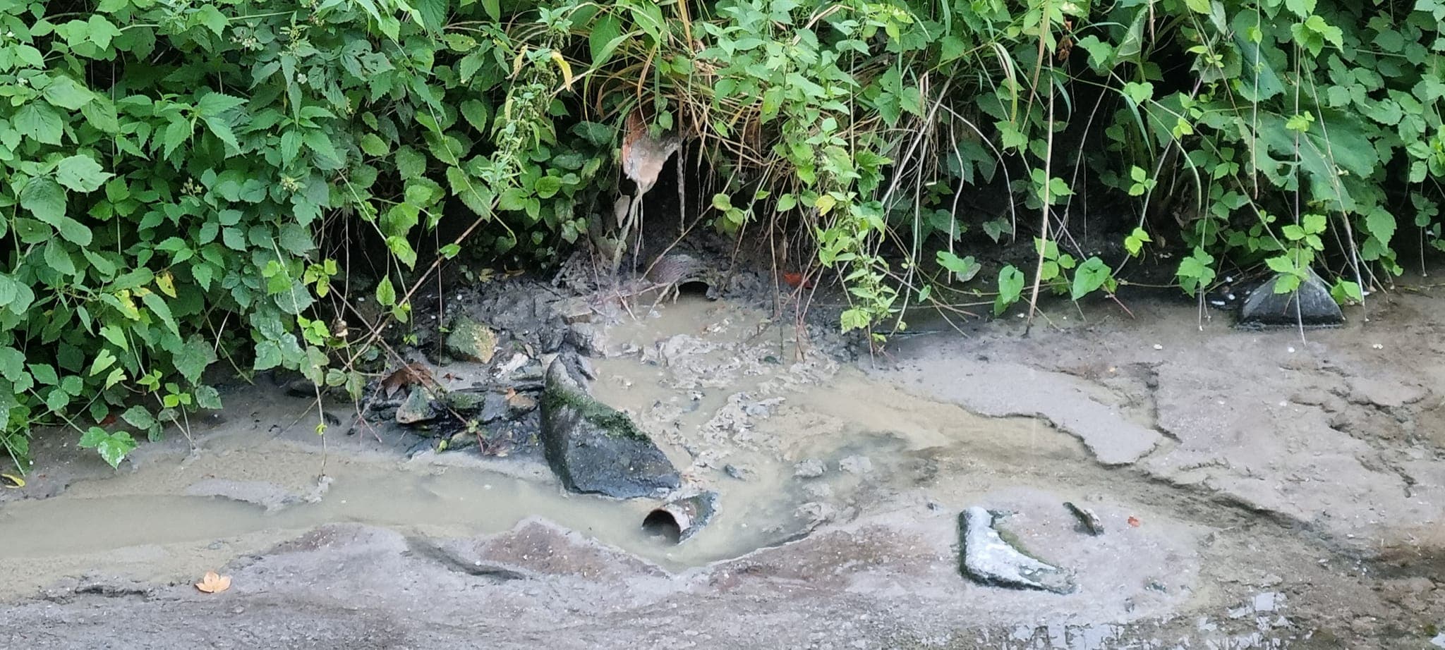 Do Čermeľského potoka údajne tiekli splašky. Údolím sa šíril nenormálny smrad