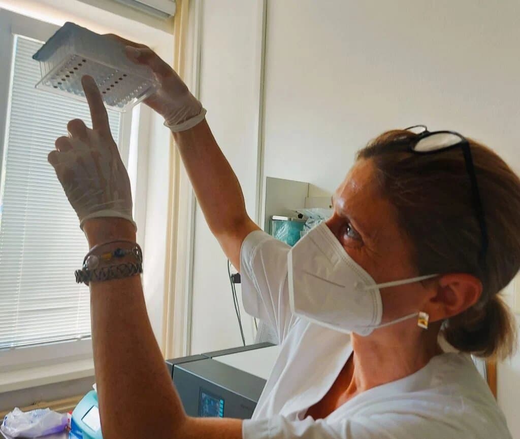 Komisia odporúča uznať COVID-19 v niektorých sektoroch a počas pandémie za chorobu z povolania