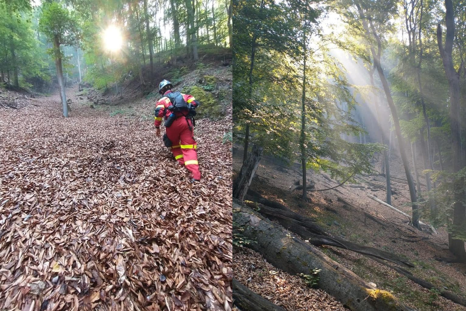 Požiar lesa v Malej Lodine sa konečne podarilo uhasiť (FOTO)