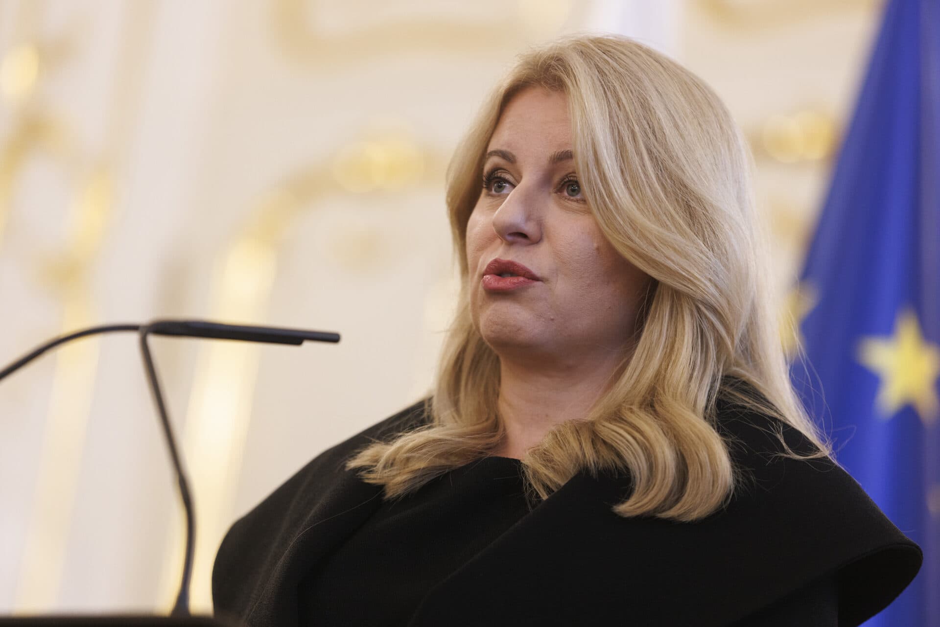 Prezidentka je nateraz s výkonom úradníckej vlády spokojná