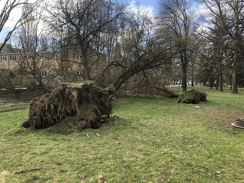 Silný vietor spôsobil v Košiciach obrovské škody (FOTO)
