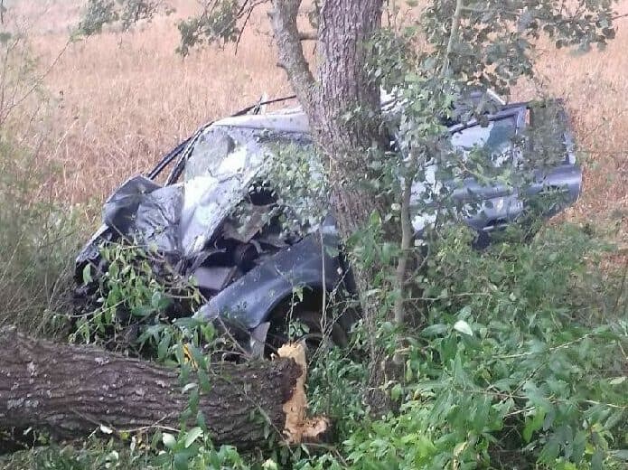 Autom narazil do stromu, nehodu vodič neprežil (FOTO)