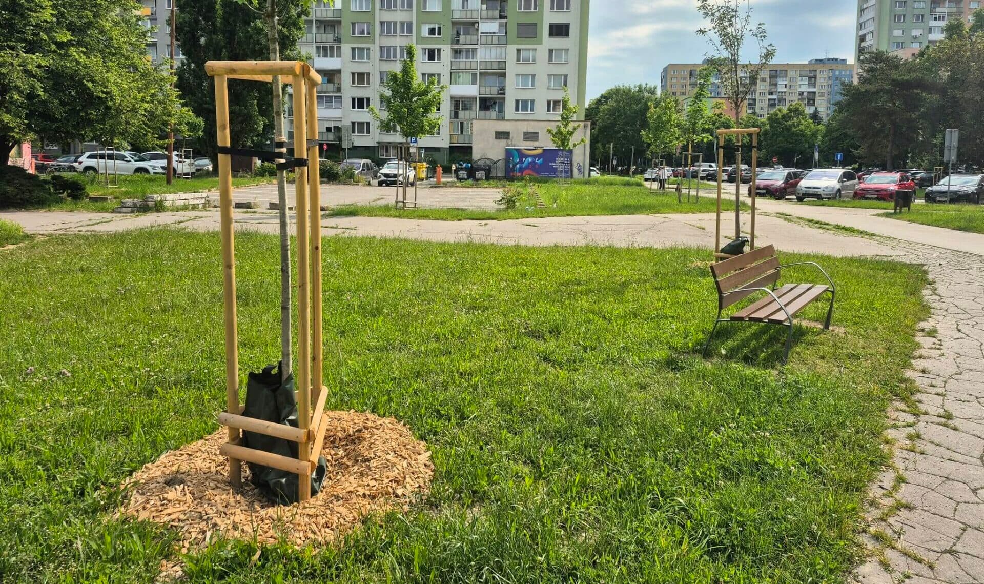 V mestskej časti Juh pribudli nové stromy, rastliny aj lavičky (FOTO)