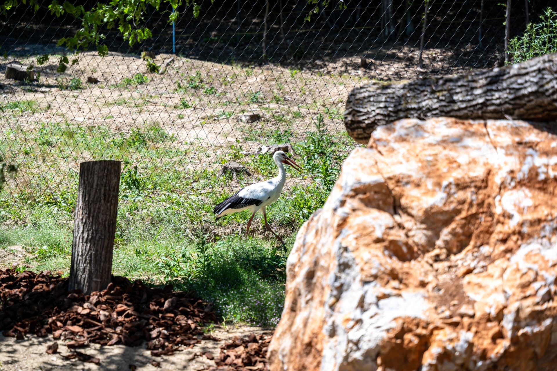 Košická ZOO víta návštevníkov s novými atrakciami