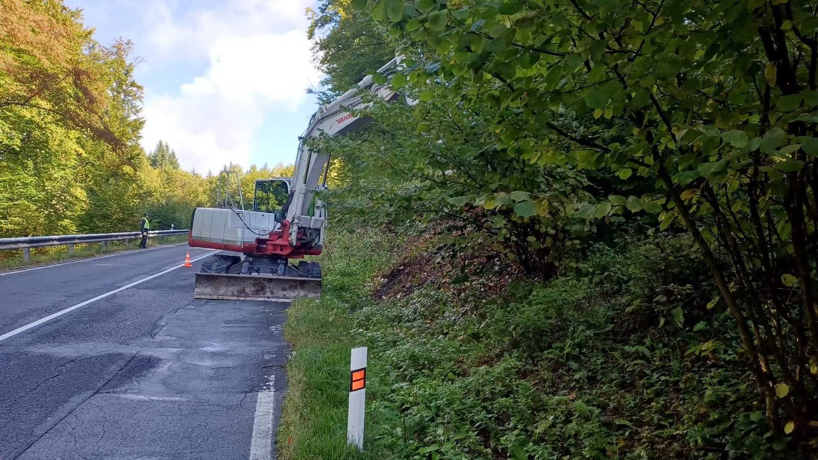 Cesta na Jahodnú prechádza údržbou, mesto začalo s orezom stromov
