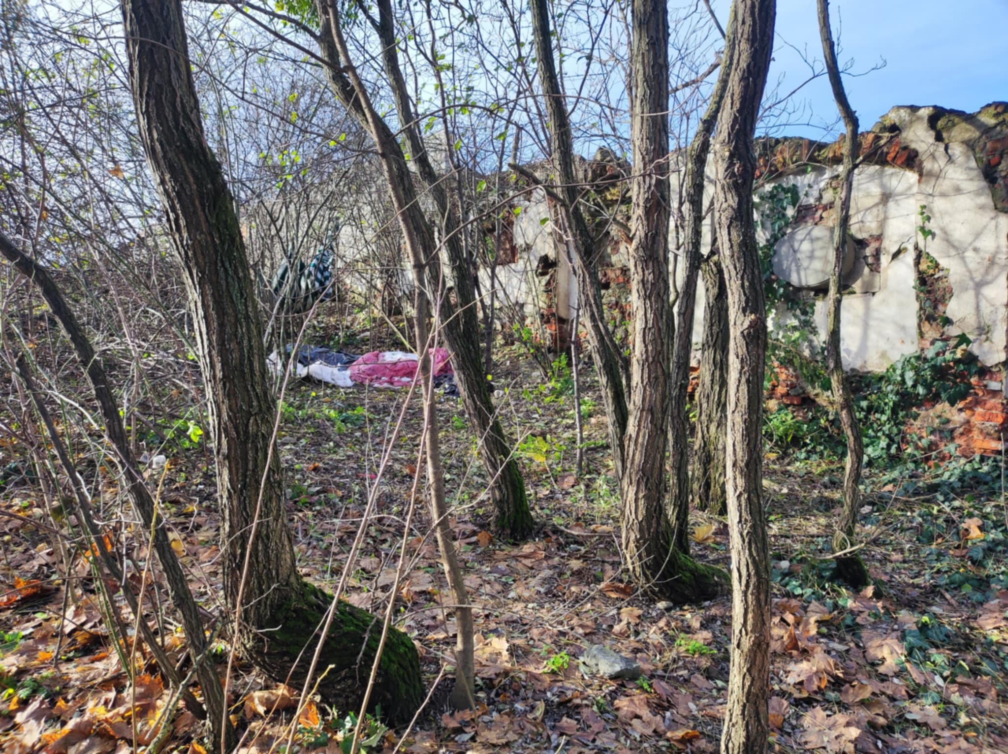 Evanjelický cintorín za sladovňou miestami stále pripomína skládku