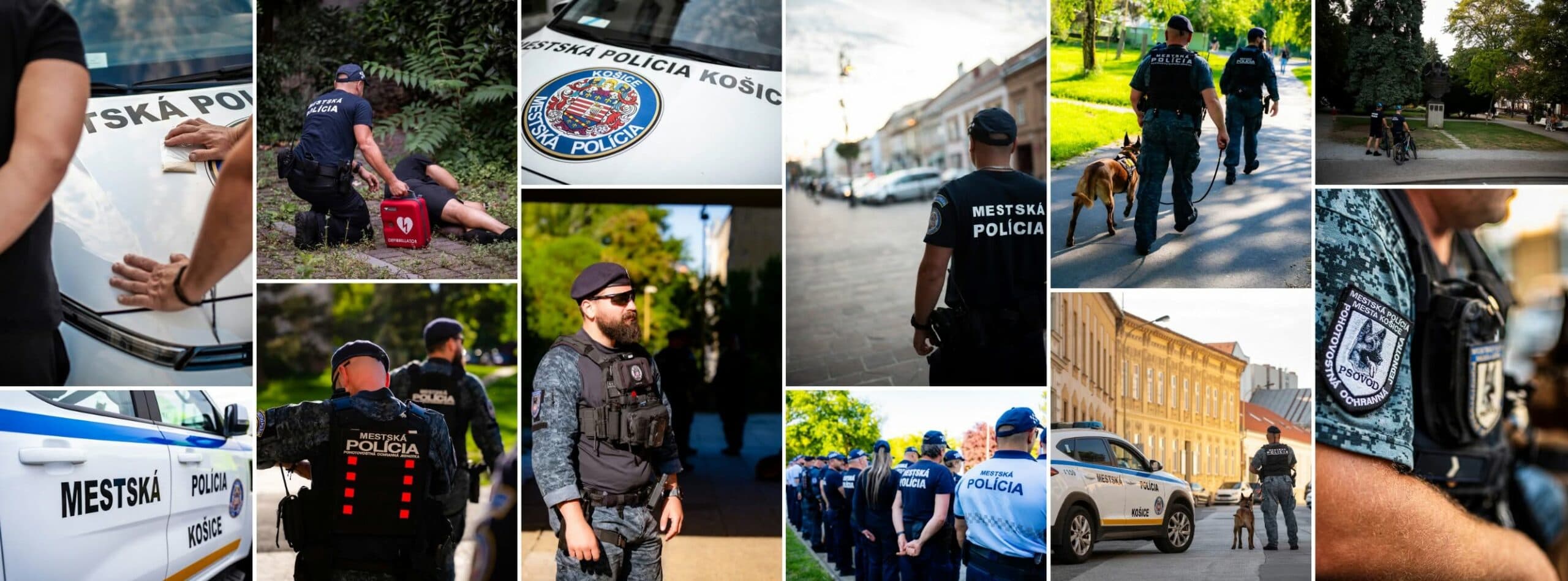 Fotografia k článku Hliadky MsP vykonali od začiatku roka 50 kontrol v mestských častiach