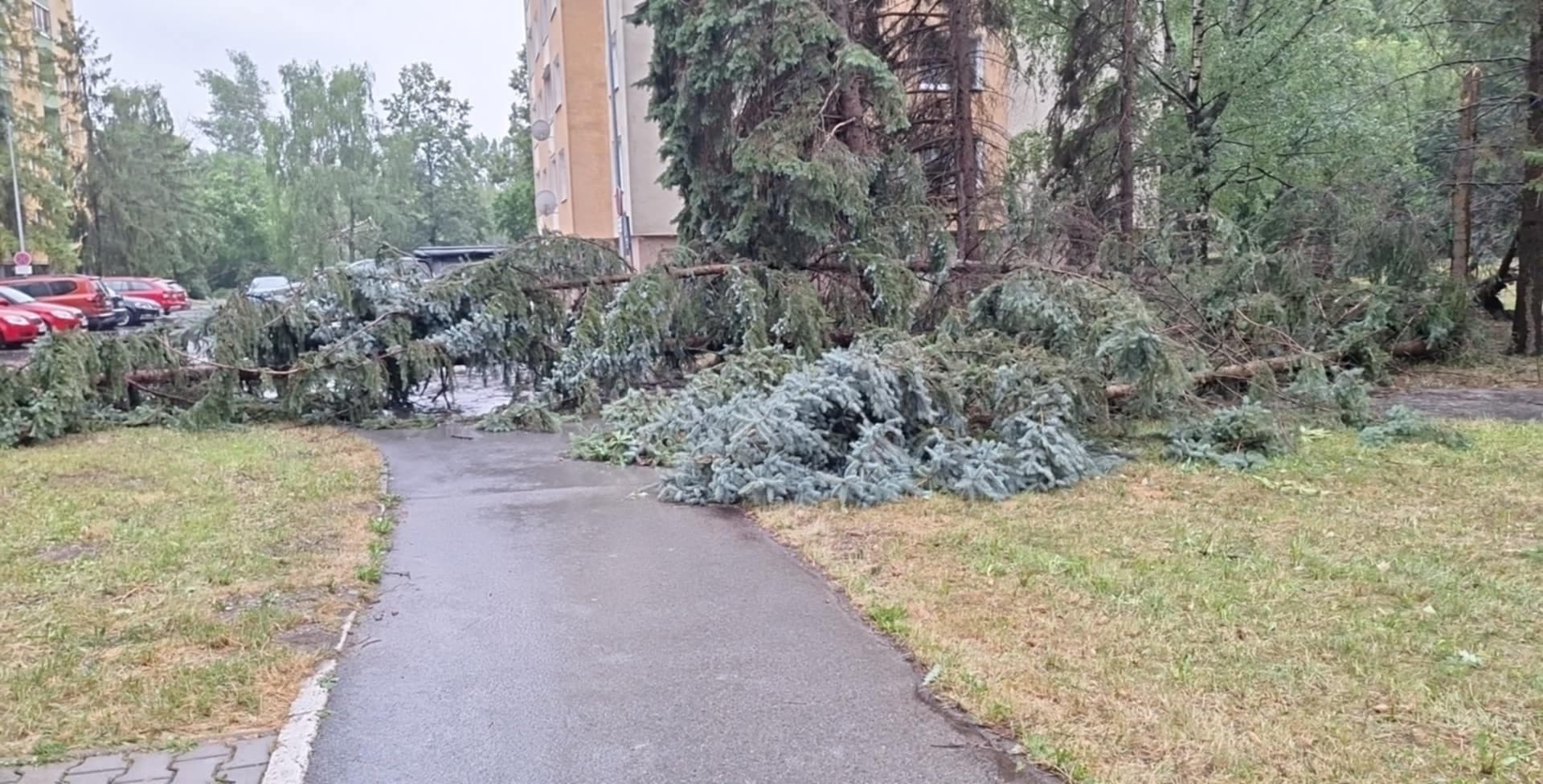 Fotografia k súvisiacemu článku V meste Prešov vyhlásili mimoriadnu situáciu