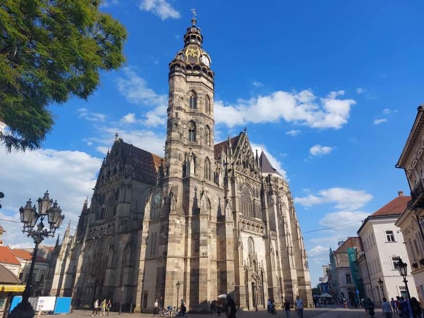 Dóm sv. Alžbety ohrozuje vtáčí trus