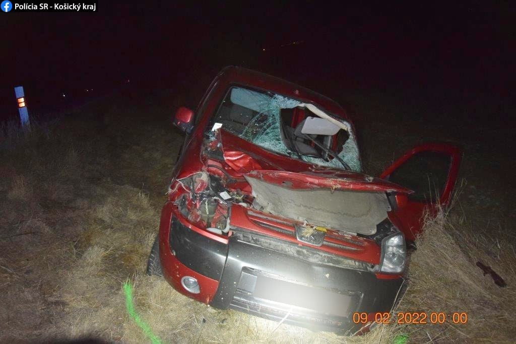 Zrážke s jelenicou nedokázal zabrániť (FOTO)