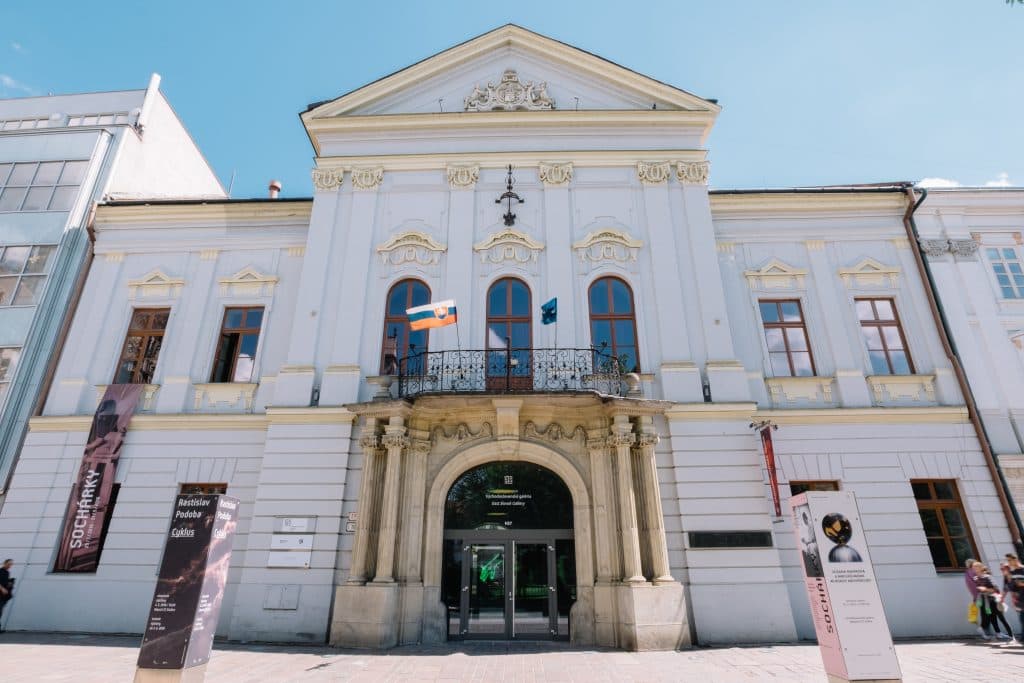 Verejnosť si vo VSG v Košiciach môže pozrieť predaukčnú výstavu M. Spoločníkovej