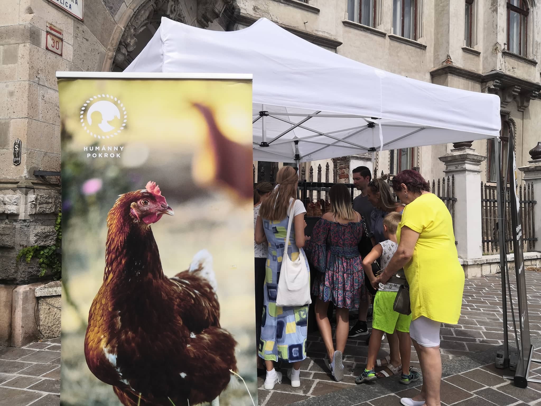 Zákaz klietkového chovu môžu podporiť aj Košičania