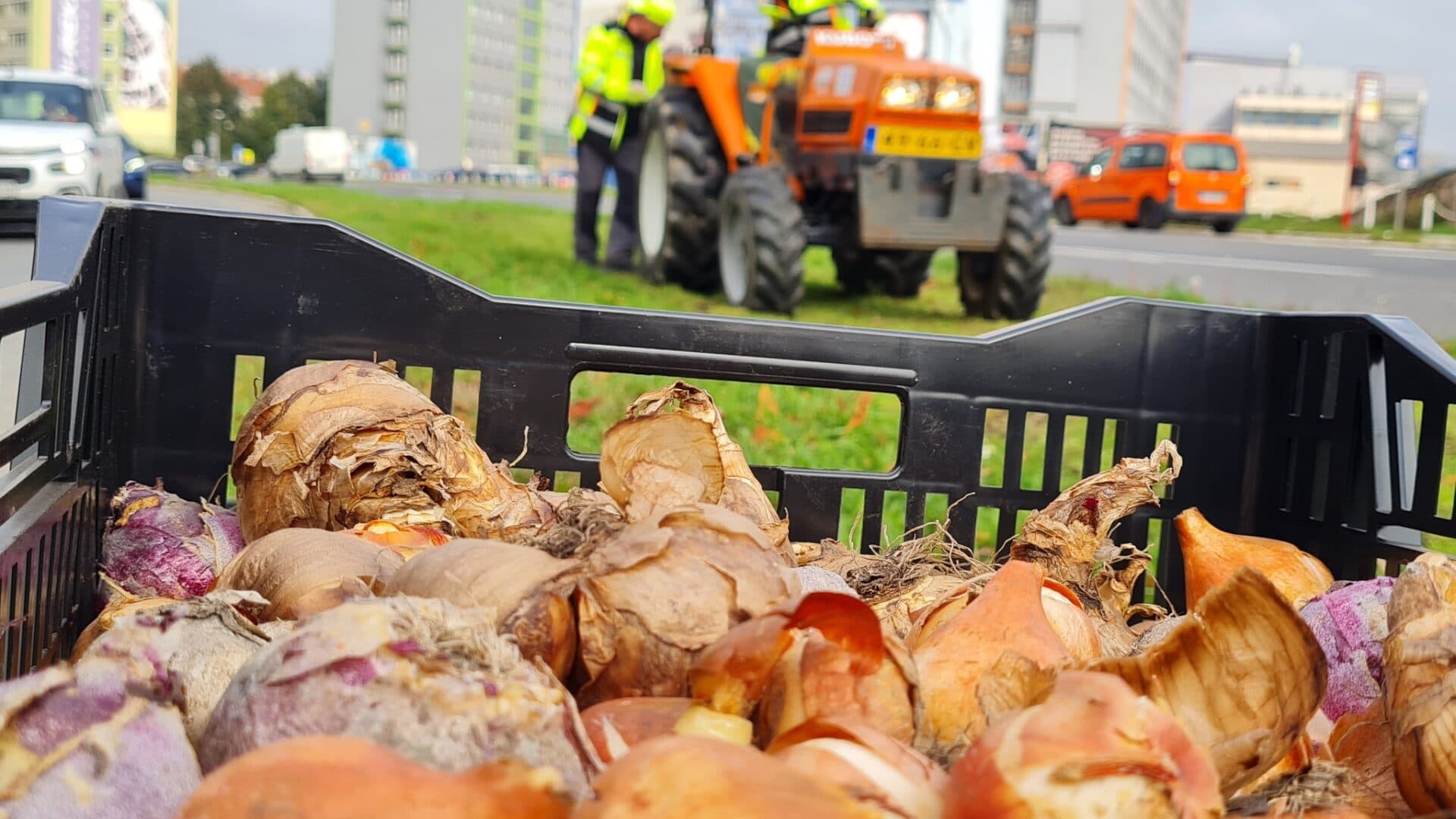 Košice v budúcom roku rozkvitnú (FOTO)